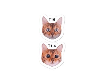 Katzenstopper