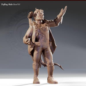Tiefling Male Bard Perfect for RPG Hero Needs