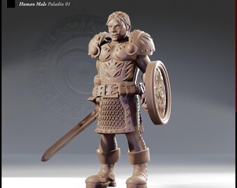 Human Male Paladin Perfect for RPG Hero Needs
