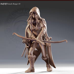 Half-Elf Female Ranger Perfect for RPG Hero Needs