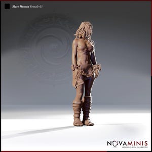 Human Female Slave Perfect for RPG um.. well.. Needs