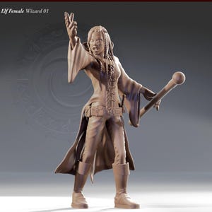 Elf Female Wizard Perfect for RPG Hero Needs