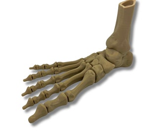 Halloween-decoratiespeelgoed skeletvoet 25 cm