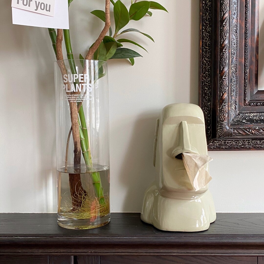 Tissue Box, Stone Tissue Box, Funny Tissue Box, Ornaments, Creative