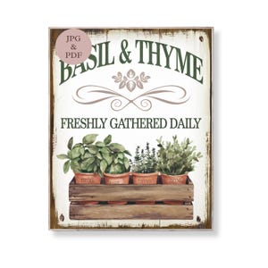 Basil and Thyme Küche Wand Kunst druckbare Vintage Kräutergarten Zeichen rustikale botanische Dekor Bauernhaus digitaler Download Pflanze Poster Geschenk
