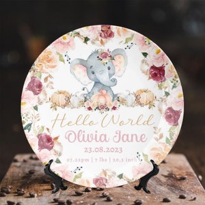 Birth Announcement Sign Baby Stats Customized Plate Ornament Floral Elephant Custom Name Plate Keepsake Personalized Plates Gift For Newborn