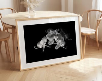 Black and White Orchid Wall Art: Flower Photo, Elegant Home Decor (Digital Download)