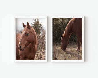 Equestrian Art Print Set: Rustic Horse Photography, Farmhouse Decor Print (Digital Download)