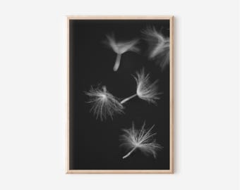 Dandelion Wall Art, Botanical Print, Dark Floral Photography, Wildflowers & Japandi Printable Poster Digital Download