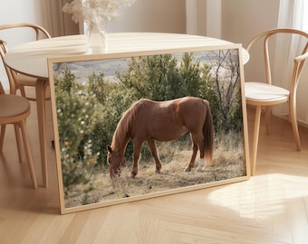 Horse Photography: Equestrian Wall Art, Farmhouse Decor Print (Digital Download)