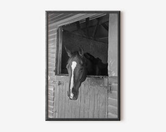 Zwart-wit paard fotografie-afdruk: ruiterboerderij kunst (digitale download)