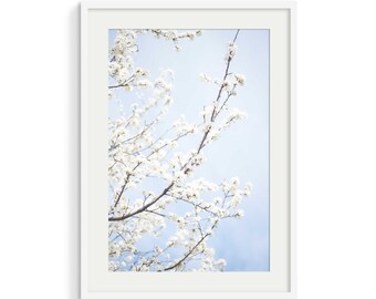 Cherry Blossom Photography Print: Pastel Pink Floral Wall Art (Digital Download)