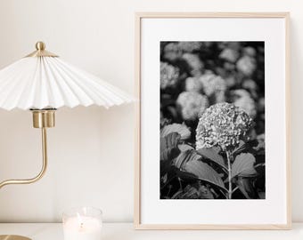 Black and White Hydrangea Photo: Minimalist Floral Wall Art (Digital Download)
