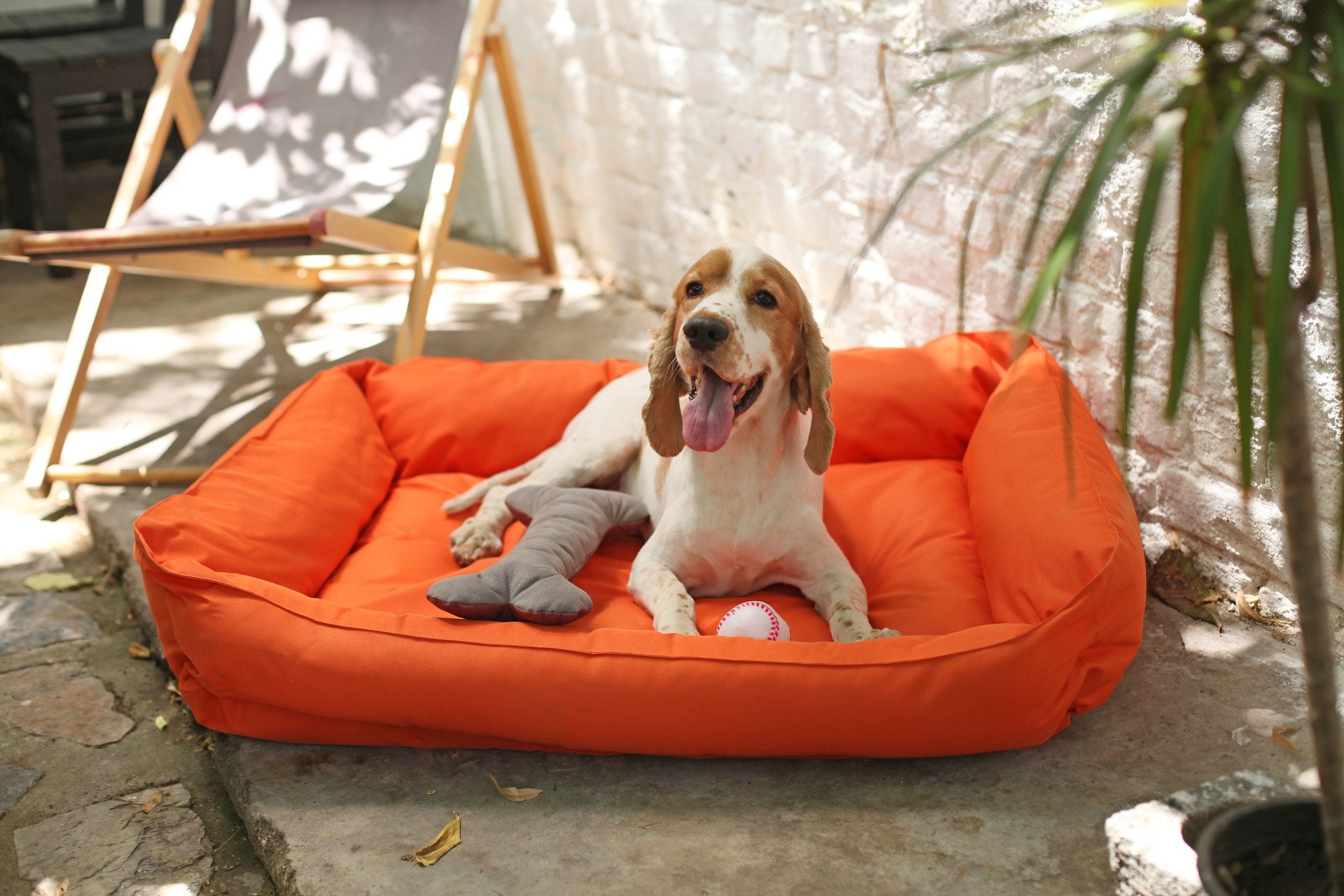 outdoor pet beds for dogs