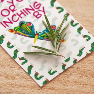 Very Hungry Caterpillar | Thank You Tags | Thank You Labeles | Instant Download | Not editable Hungry Caterpillar Thank You Tags for Party