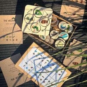 Rompecabezas del ciclo de vida 2.0 / Rompecabezas de madera para niños / Rompecabezas / Tarjetas de emparejamiento para aprender sobre la naturaleza