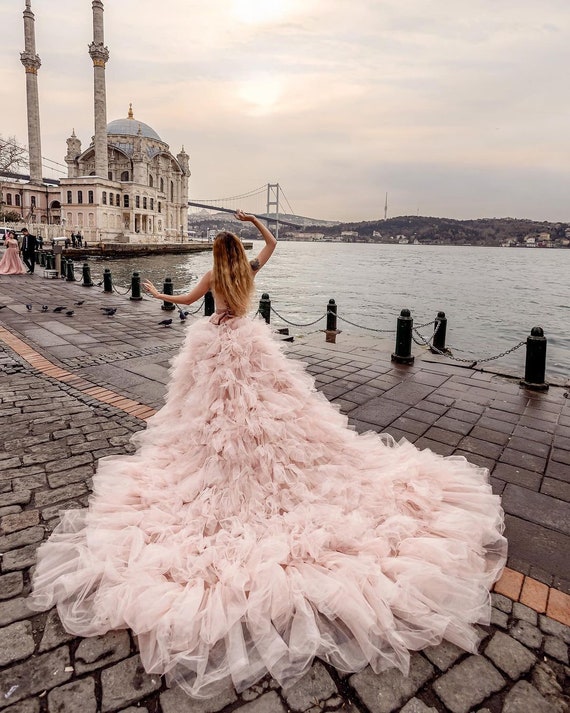 chinese dress ladies Amazon.com: Tulle Dress | Net Long Flying Long Train Photoshoot Flowy Dres  | Satin Santorini Flying Maxi Photography Baby Shower Dres for Women main image 1