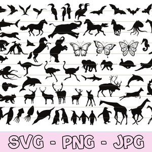 Zoo Animals Svg Bundle, Safari Animals Silhouette Svg, Jungle Animals Svg, Clipart, Wild Animals Svg, African Animal Svg, Animals Vector.