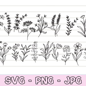 Wildflower Svg Design for Shirt, Botanical Flower Svg, Flower Hand Drawn, Floral Svg Bundle, Flower Svg Cut File, Flower Clipart, Plant Svg.