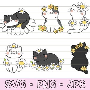 Funny Cat Svg, Cute Cat Svg Files, Cat Svg Bundle, Animals svg, Cat Design Svg, Kitten Svg, Black and White Cat Svg, Cat Clipart, SVG, PNG.