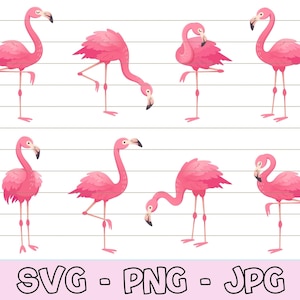 Cute Pink Flamingo svg for Shirt, Flamingo svg Bundle, Flamingo Clipart png, Pink Flamingo png, Flamingo Vector, Animals svg, Summer SVG.