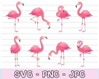 Cute Pink Flamingo svg for Shirt, Flamingo svg Bundle, Flamingo Clipart png, Pink Flamingo png, Flamingo Vector, Animals svg, Summer SVG.