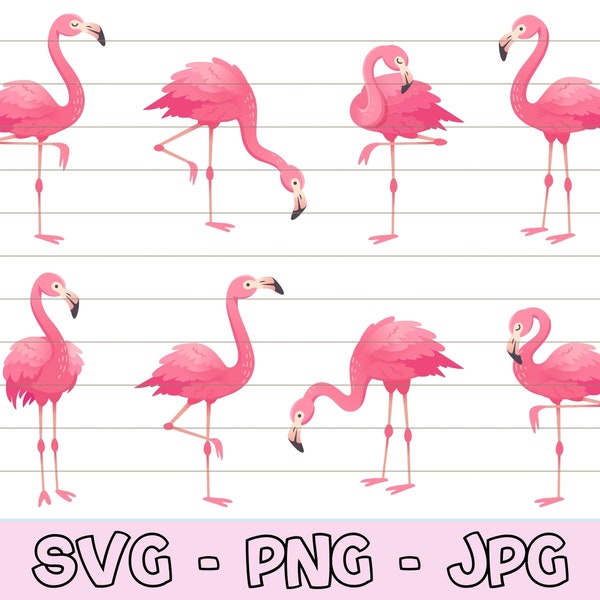 Cute Pink Flamingo svg for Shirt, Flamingo svg Bundle, Flamingo Clipart png, Pink Flamingo png, Flamingo Vector, Animals svg, Summer SVG.