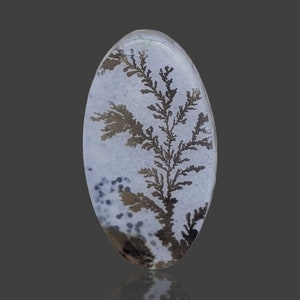 Unique And Beautiful Dendritic Agate Cabochon High And Rare Quality Natural Stone Jewelry Fashion Gift 5