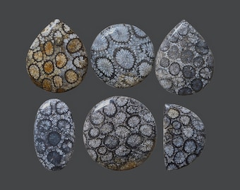 Unique And Beautiful Fossil Coral Cabochon - High And Rare Quality Natural Stone Jewelry Fashion Gift