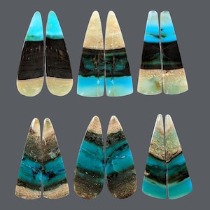 Rare quality - Beautiful Opal Petrified Wood Pairs For Earring Jewelry