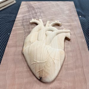 Anatomical Heart stl.