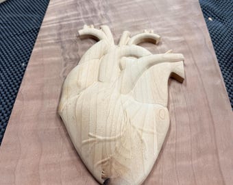 Corazón anatómico stl.