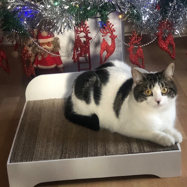 Cat bed. Scratch pad / post / Pet bed. Made from pet safe wood and recycled cardboard. Stained not painted for animal safety. Made in the UK