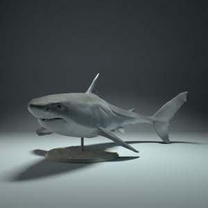 Resin 3D Printed great white shark High detailed Resin in different sizes, indoor or outdoor