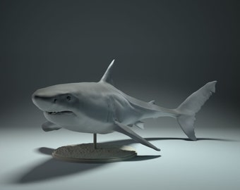 Resin 3D Printed great white shark High detailed Resin in different sizes, indoor or outdoor