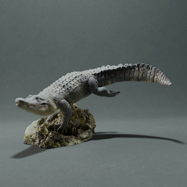 Resin 3D Printed american alligator High detailed Resin in different sizes, indoor or outdoor