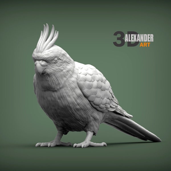 Resin 3D Printed Cockatiel High detailed Resin in different sizes, indoor or outdoor