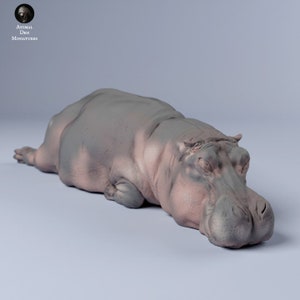 Resin 3D Printed hippo sleeping High detailed Resin in different sizes, indoor or outdoor