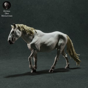 Resin 3D Printed horse High detailed Resin in different sizes, indoor or outdoor