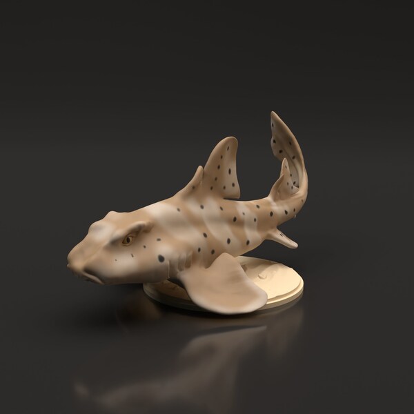 Resin 3D Printed horn shark High detailed Resin in different sizes, indoor or outdoor