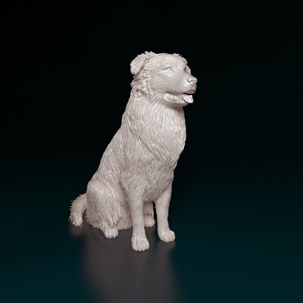 Resin 3D Printed australian shepherd High detailed Resin in different sizes, indoor or outdoor