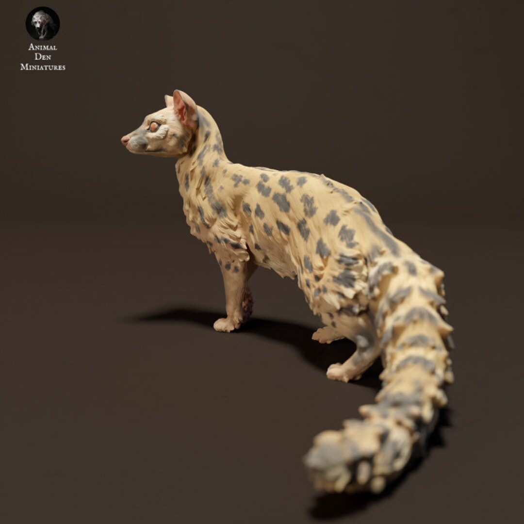 Resin 3D Printed Common Genet High Detailed Resin in Different Sizes ...