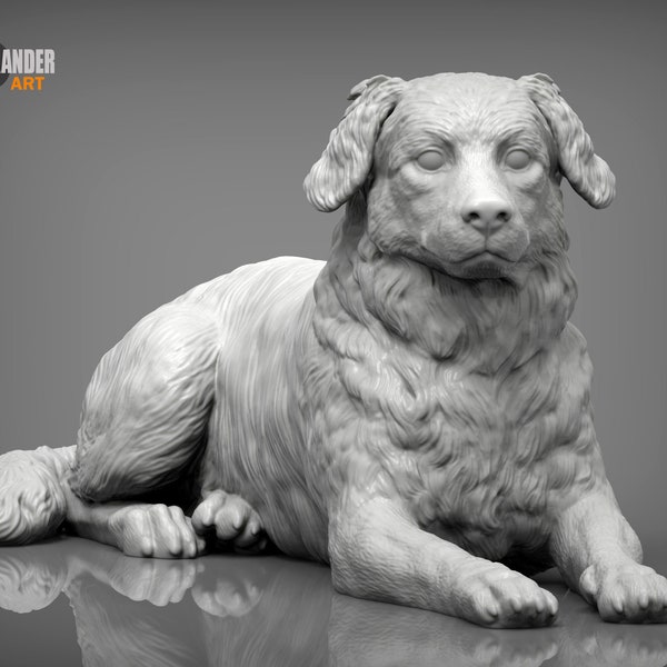 Resin 3D Printed australian shepherd High detailed Resin in different sizes, indoor or outdoor