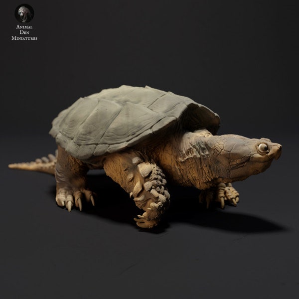 Resin 3D Printed Common Snapping Turtle High detailed Resin in different sizes, indoor or outdoor