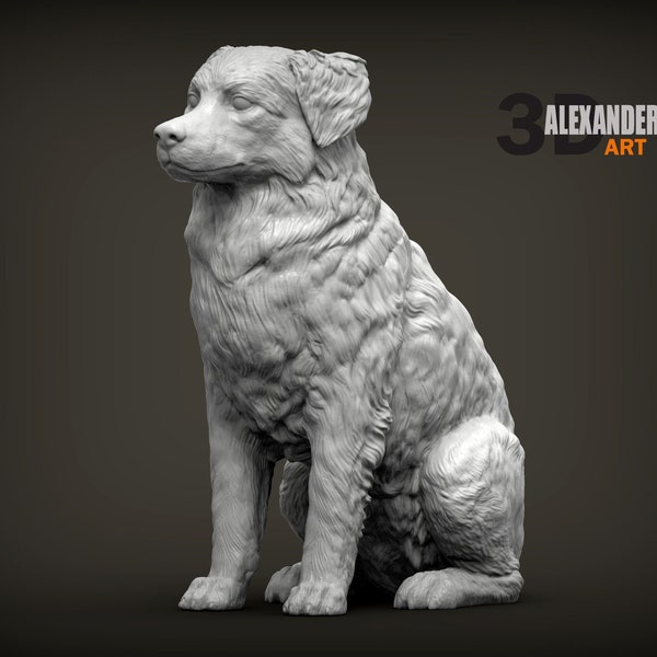 Resin 3D Printed australian shepherd High detailed Resin in different sizes, indoor or outdoor