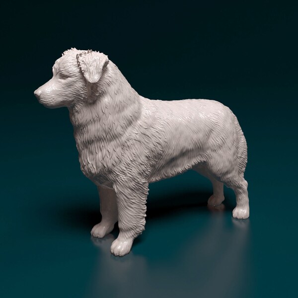 Resin 3D Printed australian shepherd High detailed Resin in different sizes, indoor or outdoor