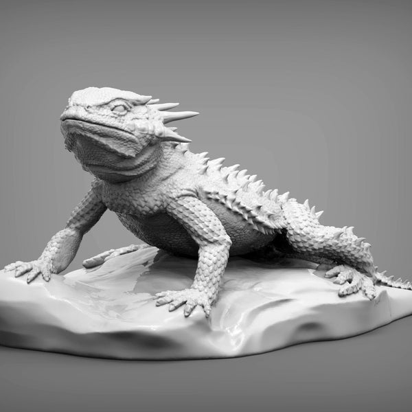 Resin 3D Printed flat horned toad lizard High detailed Resin in different sizes, indoor or outdoor