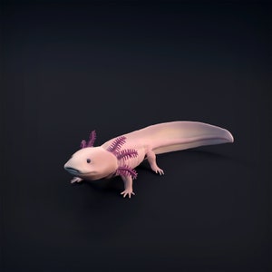 Resin 3D Printed axolotl High detailed Resin in different sizes, indoor or outdoor