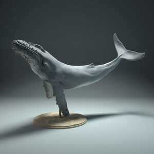 Resin 3D Printed humpback whale High detailed Resin in different sizes, indoor or outdoor