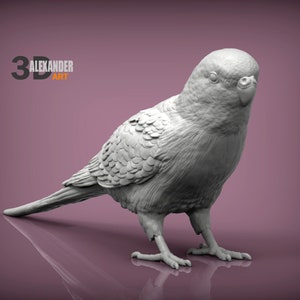 Resin 3D Printed budgerigar budgie High detailed Resin in different sizes, indoor or outdoor